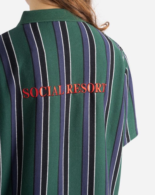 Polo Dress - Faded Green