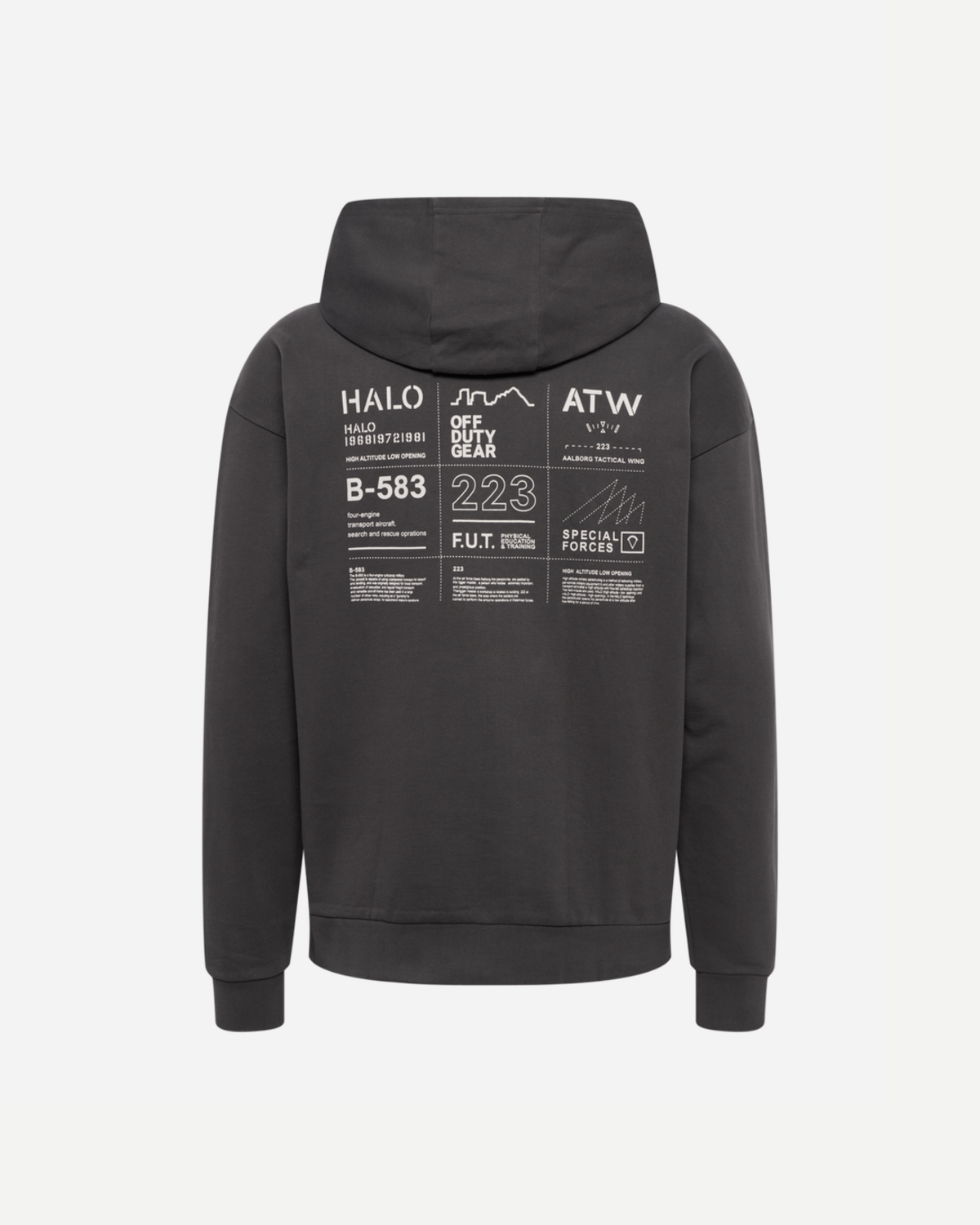 Halo Graphic Hoodie - Raven