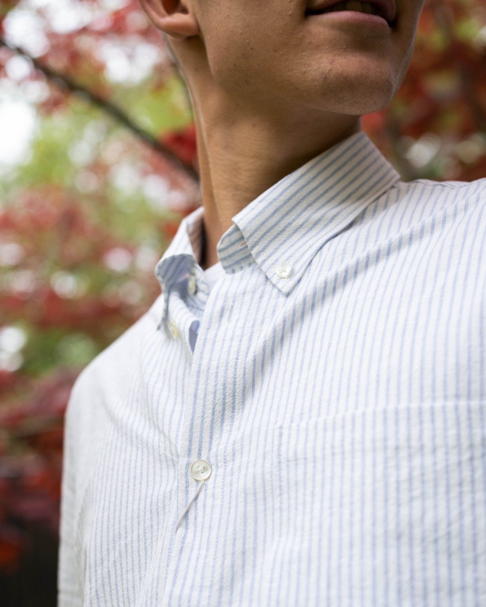 Arne 5243 - Blue Stripe