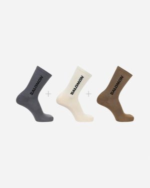 Everyday Crew 3-Pack - Frost Gray/Vanilla/Coconut Mode