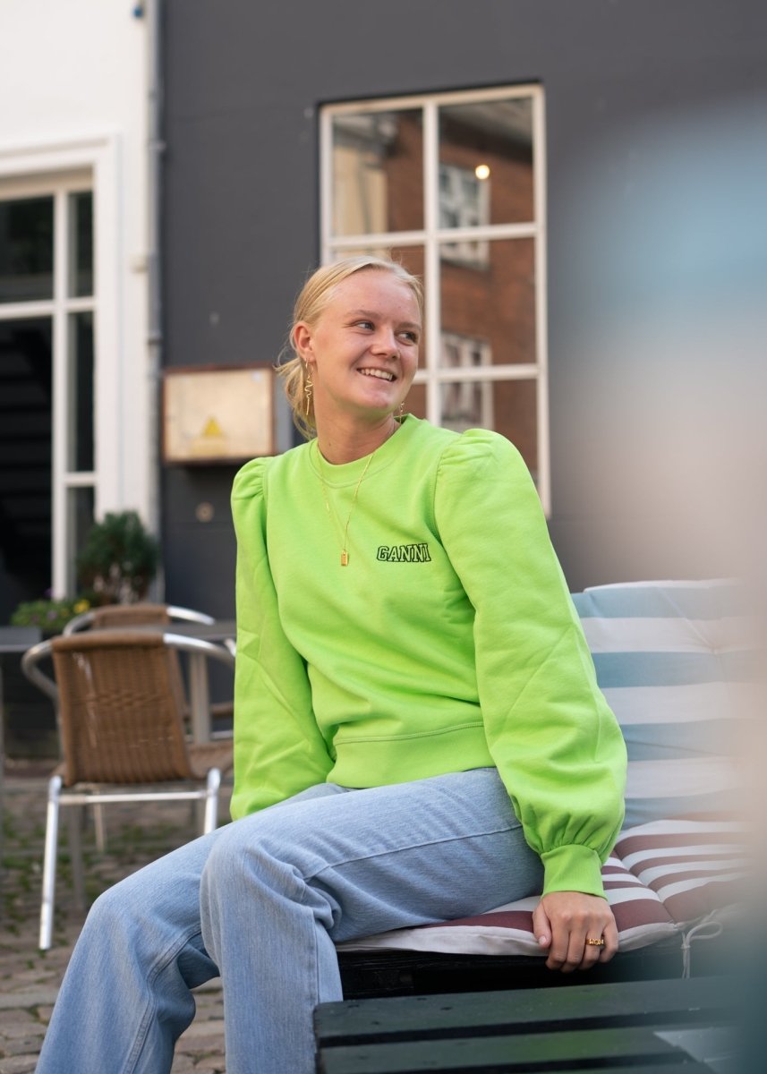 Software Isoli - Flash Green