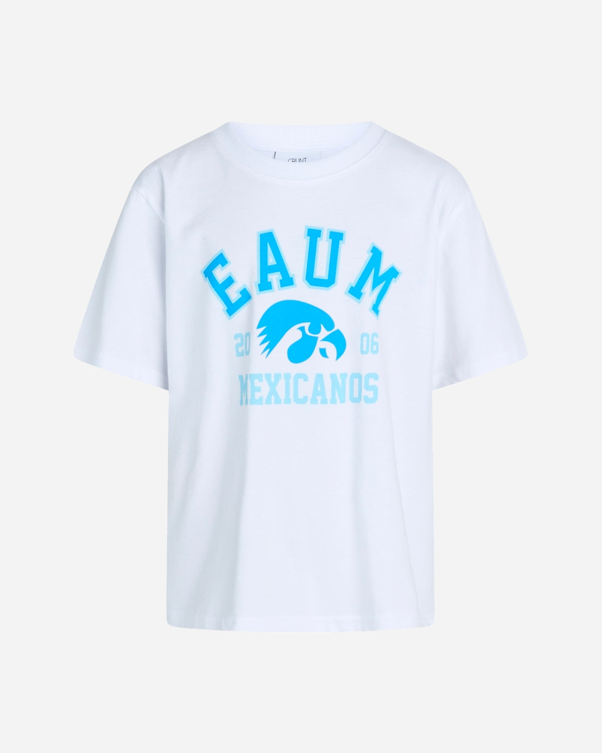 Pliketon Tee - Blue